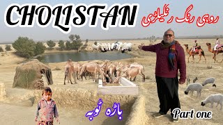 Pakistani Desert Village Life In South Punjab BARRA TOBBA Ancient CultureTraditional Village [upl. by Eicart]