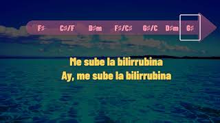 LA BILIRRUBINA  JUAN LUIS GUERRA  CHORDS  LYRICS  GUITAR  KEYBOARD  BASS  PIANO  TUTORIAL [upl. by Ailahs999]