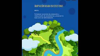 12 Acciones de adaptación en México [upl. by Welsh]