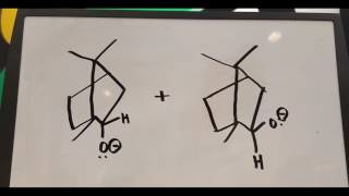 reduction of camphor to borneol and isoborneol v2 [upl. by Oswal]