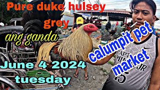 Pure duke hulsey grey ang gandaJune 4 2024 tuesday calumpit pet market [upl. by Nedda520]