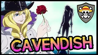 Straw Hat Grand Fleet CAVENDISH  One Piece Discussion  Tekking101 [upl. by Sigismondo]