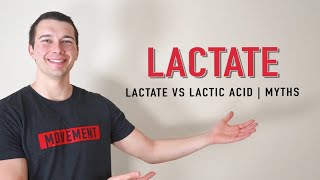 Lactate vs Lactic Acid Explained  Muscle Physiology [upl. by Ardelia]