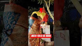 Tulsi Aarti Tulsi Aarti song music youtube  short video [upl. by Fantasia796]