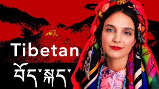 About the Tibetan language [upl. by Ecneralc323]