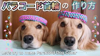 パラコード首輪の編み方作り方 How to make a Paracord Dog Collar 犬グッズDIY [upl. by Ebanreb743]