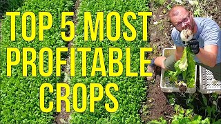 Unlock the Secret to Maximum Profits The Top 5 Most Lucrative Crops for Market Gardeners Revealed [upl. by Kariv]