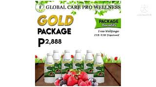 GLOBAL CARE PRO WELLNESS ENTERPRISES [upl. by Caria735]