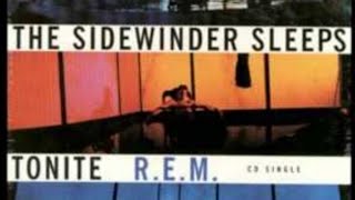 Song Facts REM The Sidewinder Sleeps Tonight pistedujour [upl. by Akitahs]