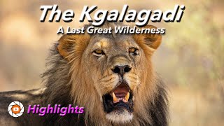 Kgalagadi Transfrontier National Park a last great wilderness in the Northern Cape in South Africa [upl. by Clemmy20]