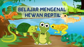 MENGENAL HEWAN REPTILBELAJAR ANAK PAUDTKSDBELAJAR MENGENAL BINATANG [upl. by Liv339]