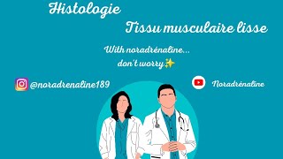 tissu musculaire lissehistologie1ère année medecine et medecine dentaire [upl. by Derte712]