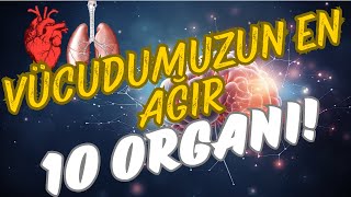 İnsan Vücudunun En Ağır 10 Organı ve Görevleri [upl. by Nauqan295]