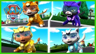 Cat Pack PAW Patrol Rescues 😺 PAW Patrol  Cartoons for Kids Compilation [upl. by Orin]