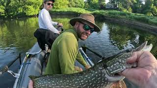 Housatonic River Pike On The Fly [upl. by Banna971]