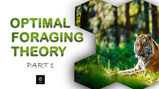 Optimal Foraging Theory  Part 1 [upl. by Llednik155]