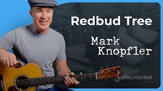 Mark Knopfler told me how to play Redbud Tree [upl. by Gnuhn]