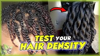 HAIR DENSITY  How to TEST and INCREASE it [upl. by Catha]