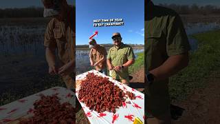 🦞 Early vs Late Season Crawfish Boils [upl. by Stavros98]