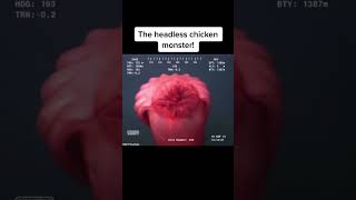 The headless chicken monster [upl. by Dduj277]