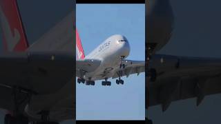 Qantas edit Qantas australia aviation landdownunder [upl. by Rothschild]