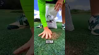 ¡El tipo volvió verde el lugar seco😮 shortsvideo [upl. by Balliett]