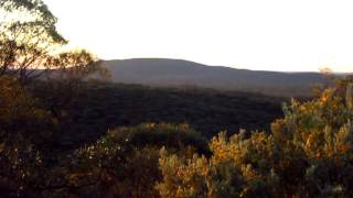 A Gold  Metal detecting Adventure Coolgardie Western Australia [upl. by Ikir269]