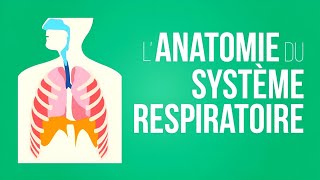 ANATOMIE HUMAINE🩺 ANATOMIE DE L APPAREIL RESPIRATOIRE 🫁 [upl. by Tedra454]