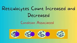 Reticulocyte count associated conditions with increased and decrease retic count [upl. by Modesty853]