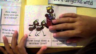 Ant Lapbook Part II [upl. by Lori]