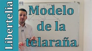 El teorema  modelo de la telaraña  Equilibrio de mercado  Microeconomía  Liberteliaorg [upl. by Ellainad277]