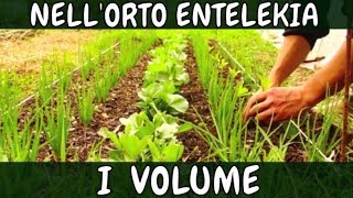 1° Volume INTEGRALE Documentario ORTO Entelekia Alessandro Montelli CAMPOMADRE Agriculture Evolutive [upl. by Rebmetpes]