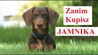 Zanim Kupisz JAMNIKA [upl. by Betty]