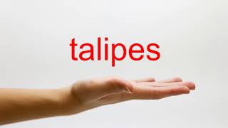 How to Pronounce talipes  American English [upl. by Ellehcsor]