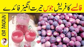 Falsa Sharbat Recipe  Falsay Ka Sharbat Banane Ka Tarika  Falsa Recipe by Kya Pakaun [upl. by Lincoln474]