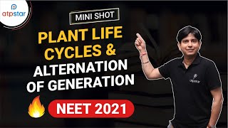 NEET 2021  Plant Life Cycles amp Alternation of Generation Class 11 Botany  Mini Shot  ATP STAR [upl. by Yorgen]