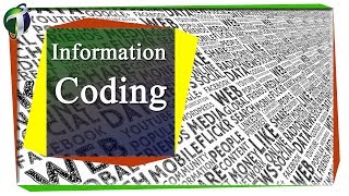 Big DataInformation Coding Urdu Hindi [upl. by Holbrooke]