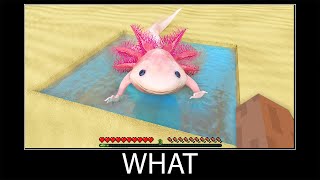 Minecraft wait what meme part 361 realistic minecraft axolotl [upl. by Akcirahs933]