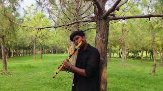 Shyam Piya  Flute Cover  Trailer  BEATIFIC MUSICIAN [upl. by Martreb184]