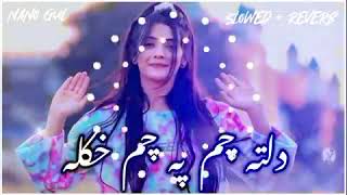 new song dalta cham pa cham khula new song 2022 [upl. by Tengdin]