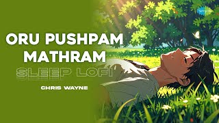 Oru Pushpam Mathram  Sleep Lofi  Pareeksha  MS Baburaj  KJ Yesudas  Chris Wayne [upl. by Atiuqet]