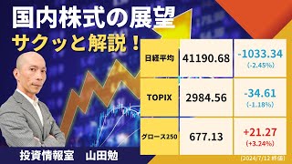 3週間駆け上がって、急反落の金曜日！来週の見通しは？（2024年7月12日号）山田勉 投資 ＃カブコム [upl. by Ellimak]