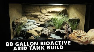 80 Gallon Bioactive Arid Tank Build For Leopard Geckos [upl. by Neidhardt]