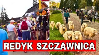 Szczawnica Wieka parada zwierząt Turyści już zacierają ręce [upl. by Beckerman]