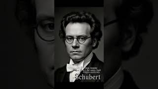 Franz Schubert  Piano Sonata in E flat major D568 [upl. by Male]