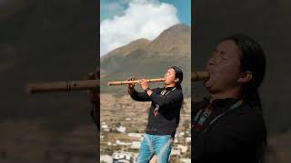 Trigu Saruy subscribe andean flute camuendo otavalo andino [upl. by Barret]