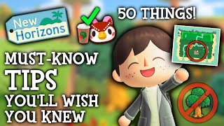 50 Things I WISH I Knew Sooner in Animal Crossing New Horizons [upl. by Eimaj]