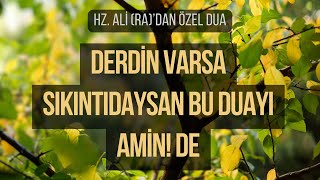 Derdin Varsa Sıkıntıdaysan Bu Duayı Dinle  Hz Aliradan Özel Dua [upl. by Merriott]