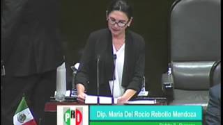 Dip María Rebollo PRI  Iniciativa [upl. by Imre]