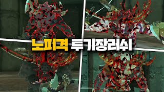 독기라이넬 5마리러쉬 노피격 4분대 토벌 젤다의전설 왕눈 TotK [upl. by Deva]